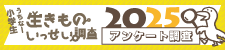 アンケート調査バナー