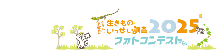 ヘッダ