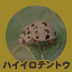nCCegE